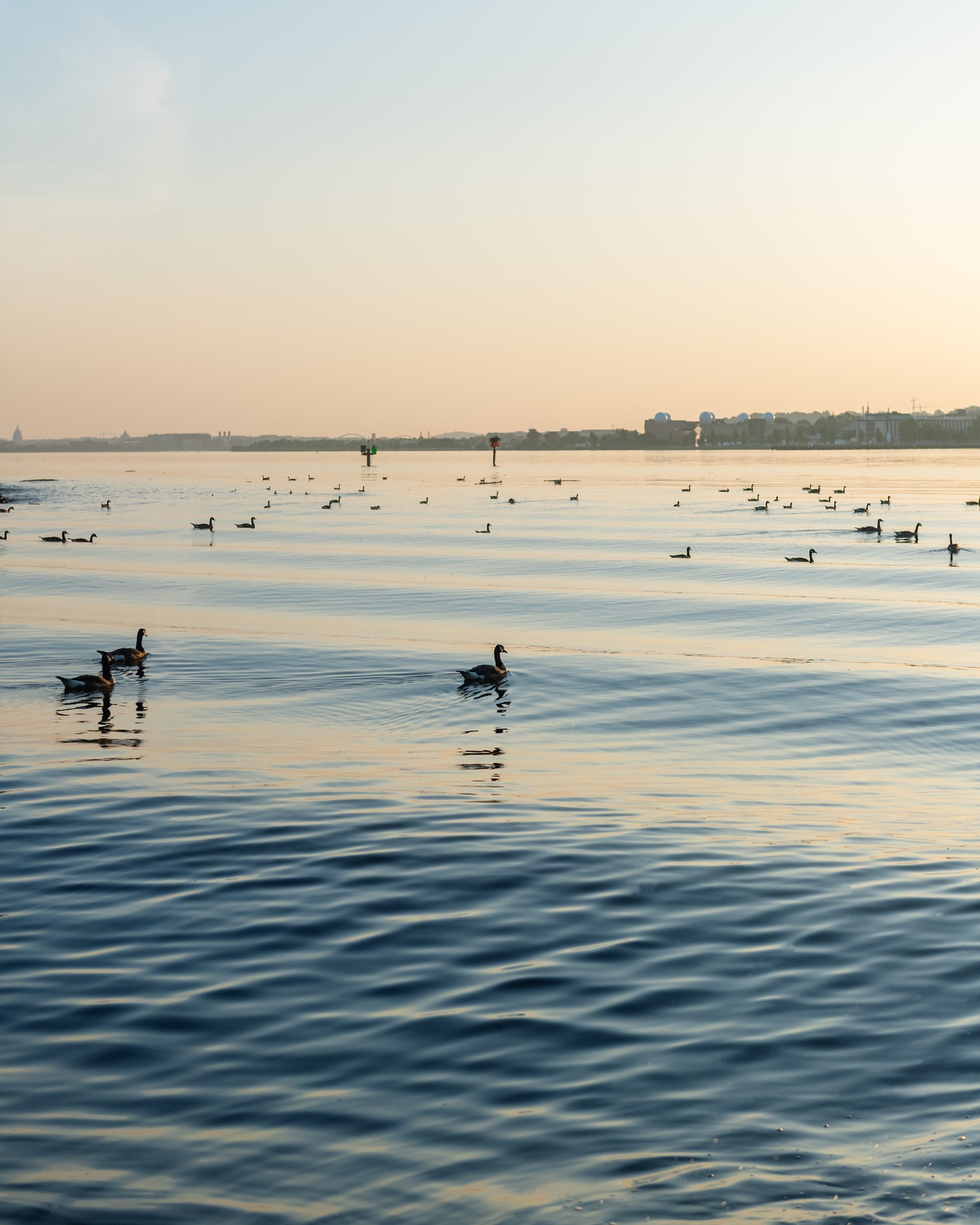 Current_LuxuryApartmentCommunity_AlexandriaVA