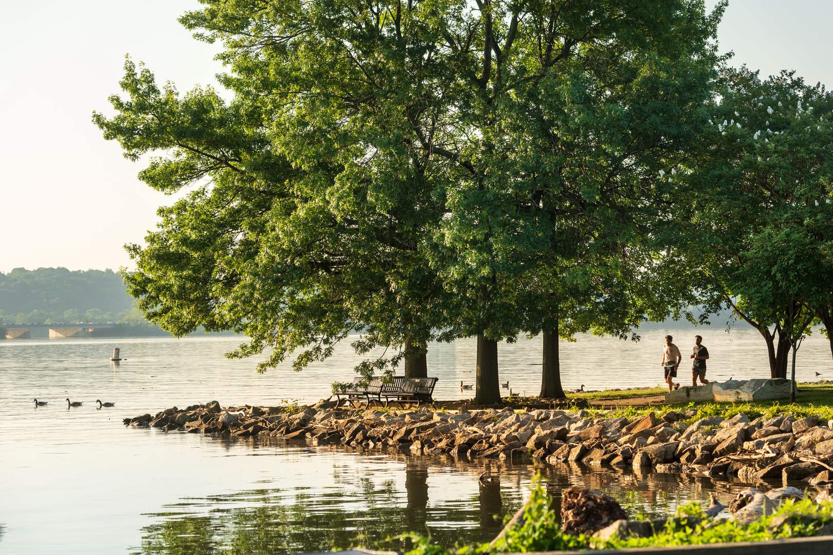 Current_LuxuryApartmentCommunity_AlexandriaVA