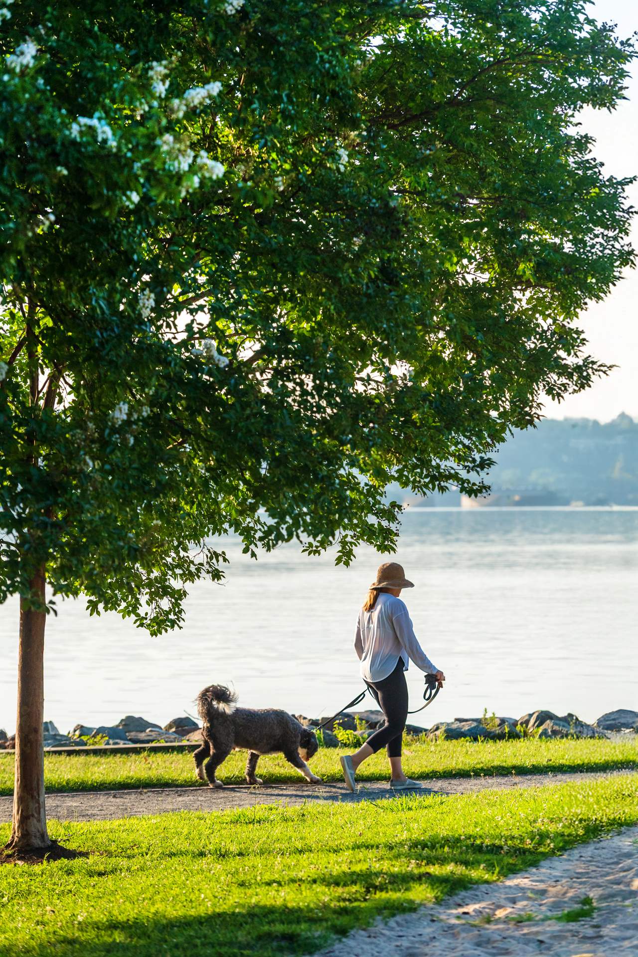 Current_LuxuryApartmentCommunity_AlexandriaVA