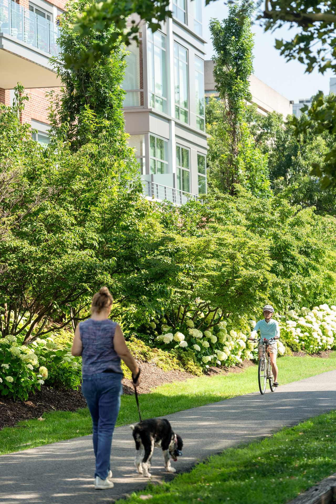 Current_LuxuryApartmentCommunity_AlexandriaVA