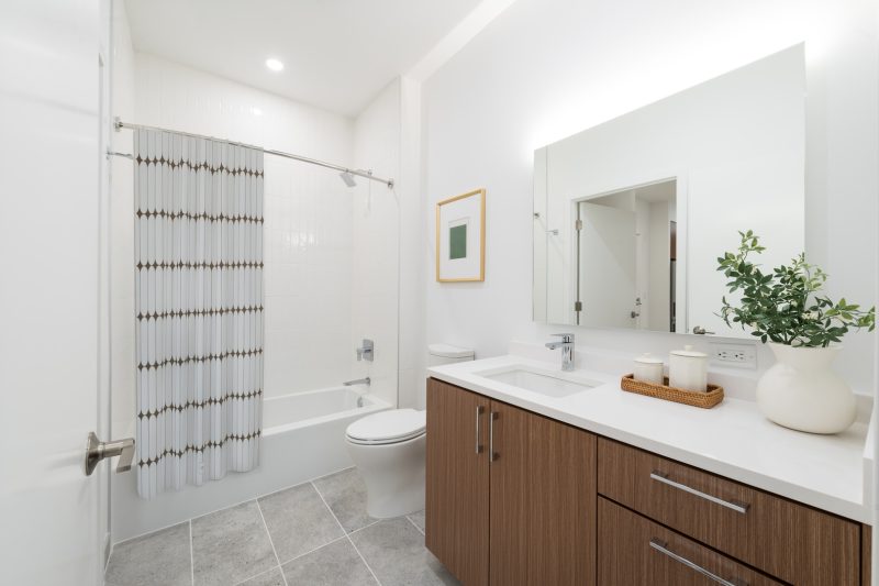Bathroom with shower curtain and mirror